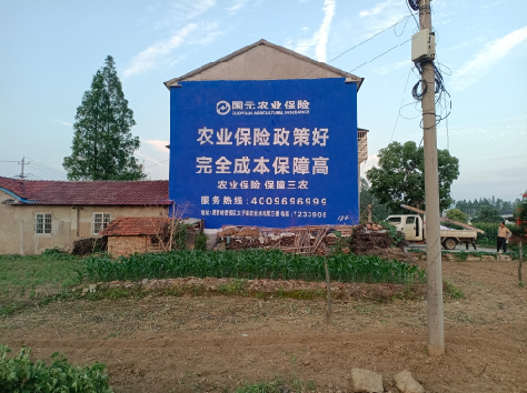 巴中墙体广告的优劣势你知道吗?