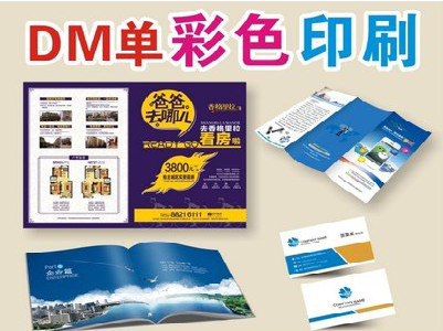 巴中单页印刷，色彩搭配简单。